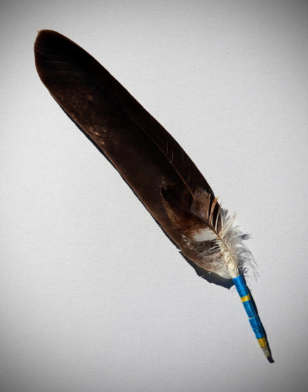 Ceremonial Eagle Feather: Spotted Eagle