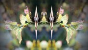 1_L-0000-0-0-0-2-Watchers-Series-B11-24-x-42