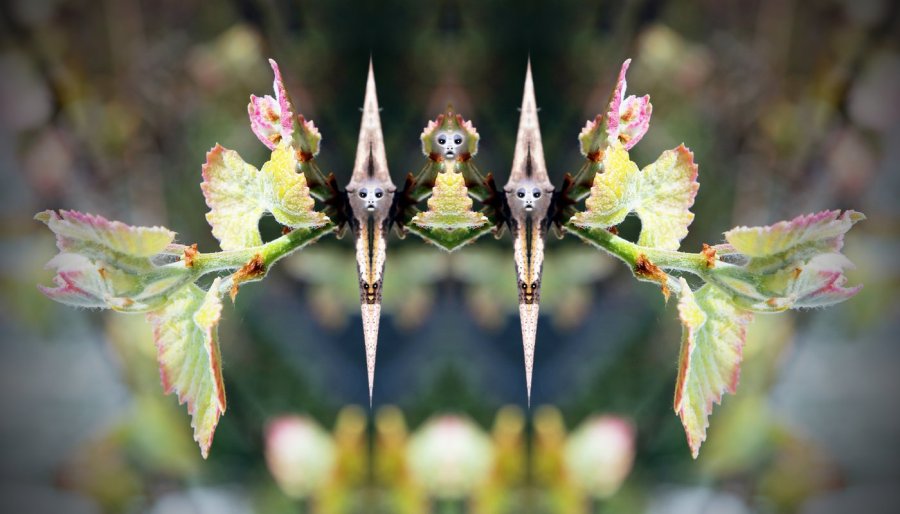 1_L-0000-0-0-0-2-Watchers-Series-B11-24-x-42