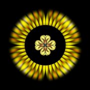 1_L-0000-0-0-2-2-Sun-Burst-5-24-x-24