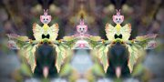 1_L-0000-0-0-5-0-Watchers-Seires-J31-24-x-48