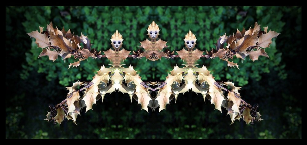 1_L-0000-0-0-8-Watchers-Series-T55-24-x-51