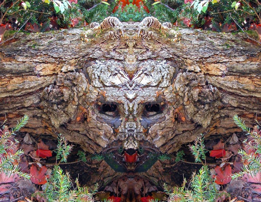 L-0000-0-0-3-3-Watchers-Series-T36-24-x-31