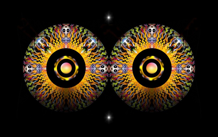 L-800-006-Night-Vision-B51-24-x-38