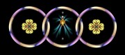 L-800-007-1-Hoop-Dreams-B99-24-x-53