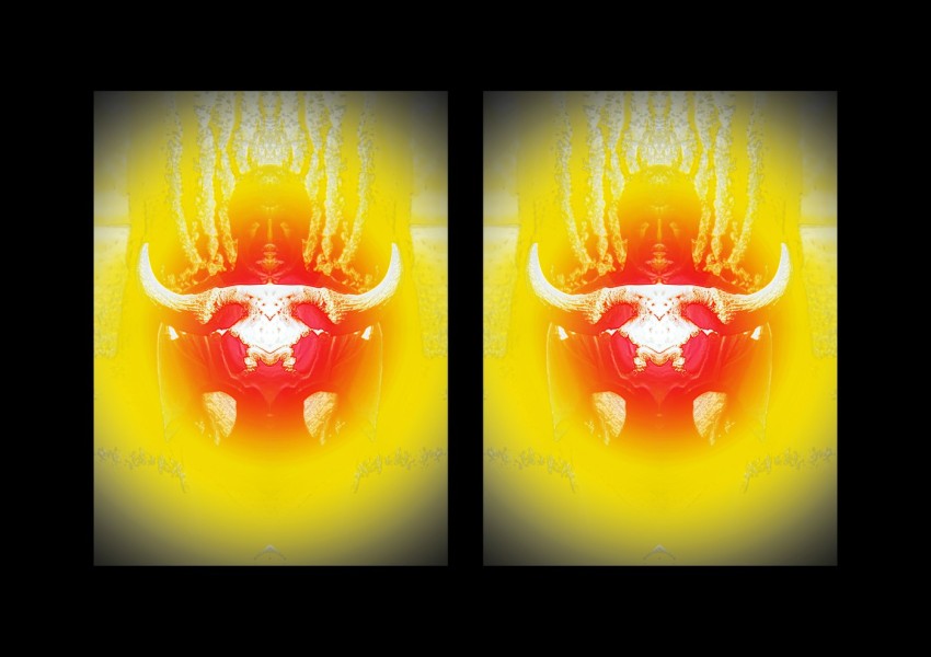 L-800-016-2-Double-Vision-S88-24-x-38