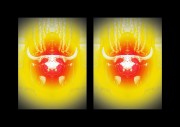L-800-016-2-Double-Vision-S88-24-x-38