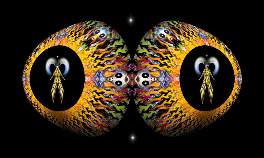 L-800-018-Night-Vision-U62-24-x-40