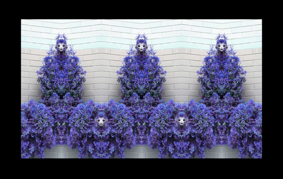 L-800-021-Watchers-Series-Z33-24-x-38