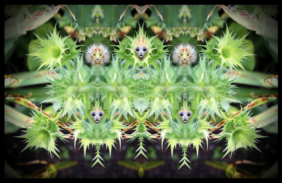 L-800-033-Watchers-Series-Z33-24-x37