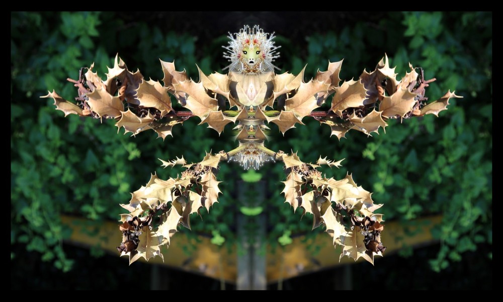 L-900-1-3-1-Watchers-Series-L99-24-x-40 L-900-1-3-1-Watchers-Series-L99-24-x-40