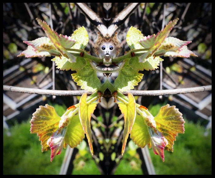 L-900-1-6-1-Watchers-Series-M22-24-x-29 L-900-1-6-1-Watchers-Series-M22-24-x-29