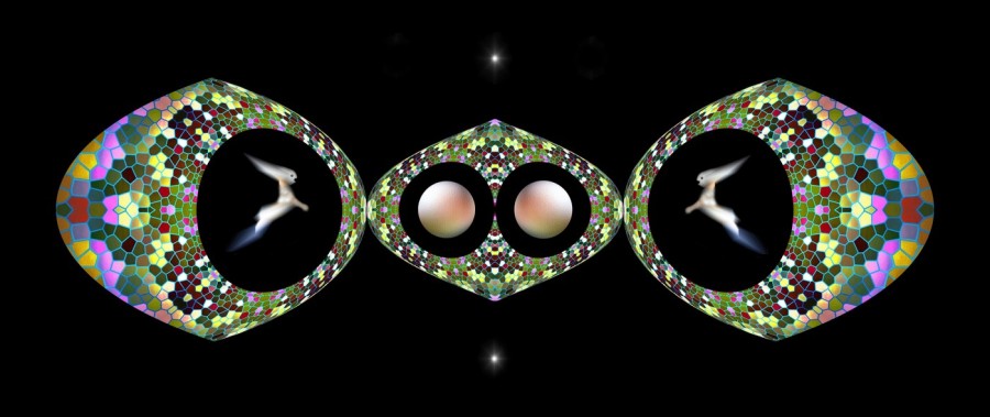 L-900-1-8-Night-Sprites-83-24-x-57