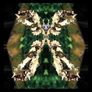 L-900-3-4-Anima-Y24-24-x-24