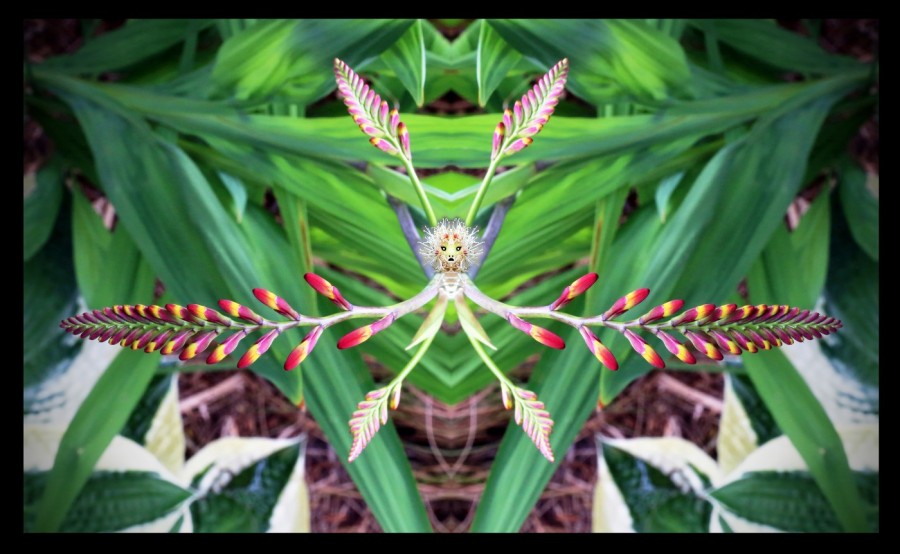 l-900-1-4-1-Watcher-Series-J22-24-x-39