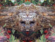 L-0000-0-0-3-3-Watchers-Series-T36-24-x-31