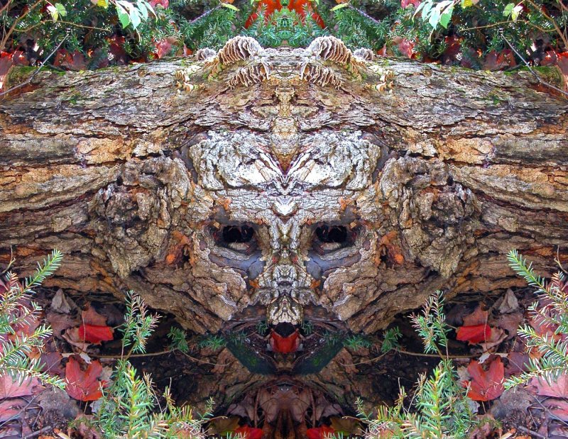 L-0000-0-0-3-3-Watchers-Series-T36-24-x-31