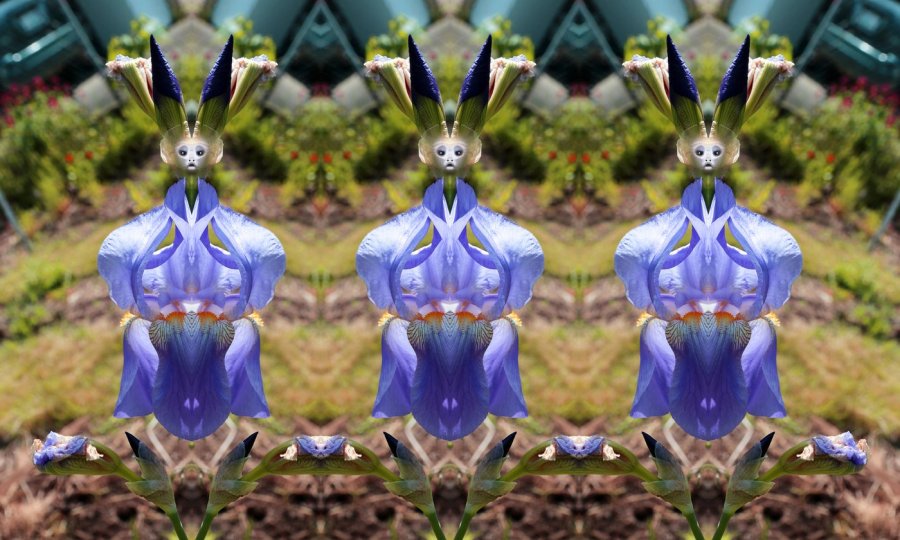 L-0000-0-0-9-7-Watchers-Series-T10-24-x-40