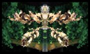 L-0000-0-1-0-1-Watchers-Series-L99-24-x-40