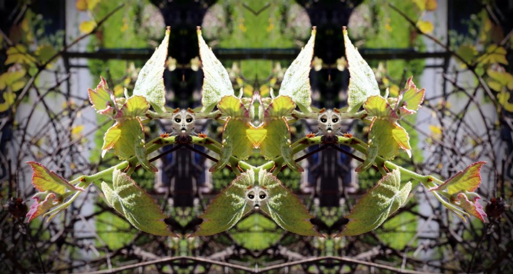 L-0000-0-1-0-5-Watchers-Series-S46-24-x-45_edited-2
