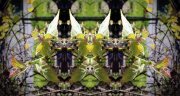 L-0000-0-1-0-5-Watchers-Series-S46-24-x-45_edited-2