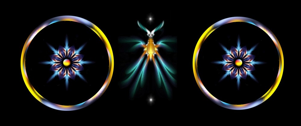 L-800-039-Hoop-Dreams-V79-24-x-57