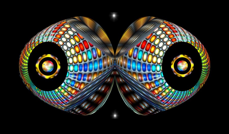 L-800-042-Apparition-X99-24-x-41