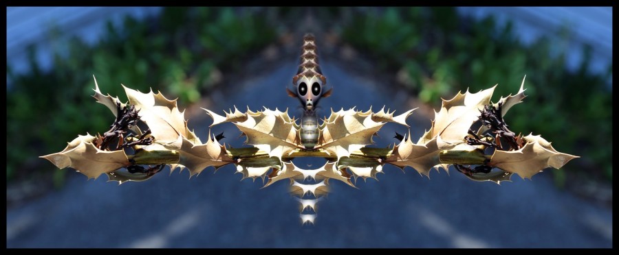 L-800-043-Watchers-Series-B22-24-x-58