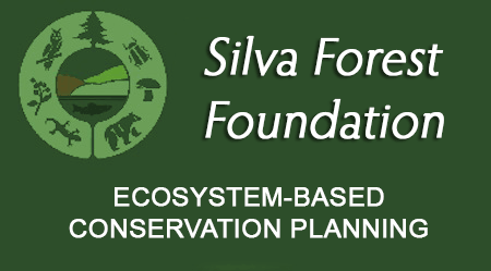 Silva Forest Foundation icon